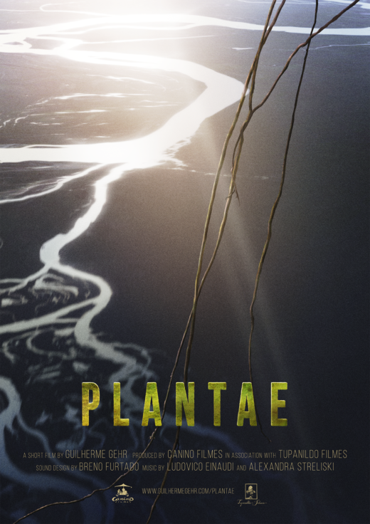 TV BRICS представит российские телепремьеры бразильских анимационных фильмов